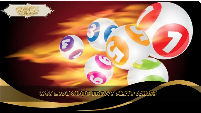 Các loại cược trong Keno Win55